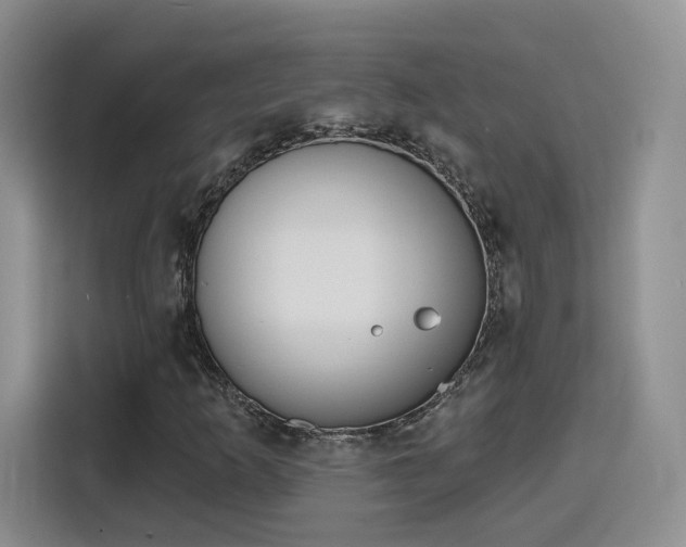 X0000116151253200911231324