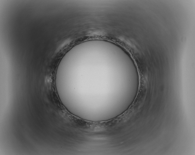 X0000116151254200911231324