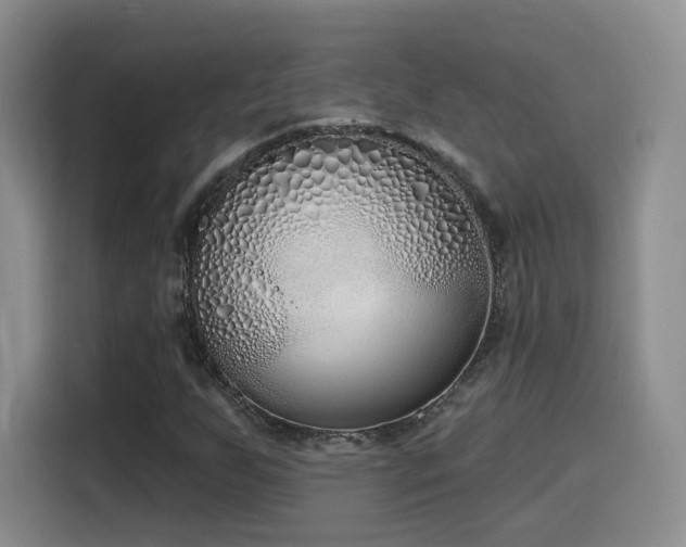 X0000116151255200911231324