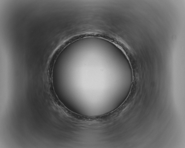 X0000116151256200911231324