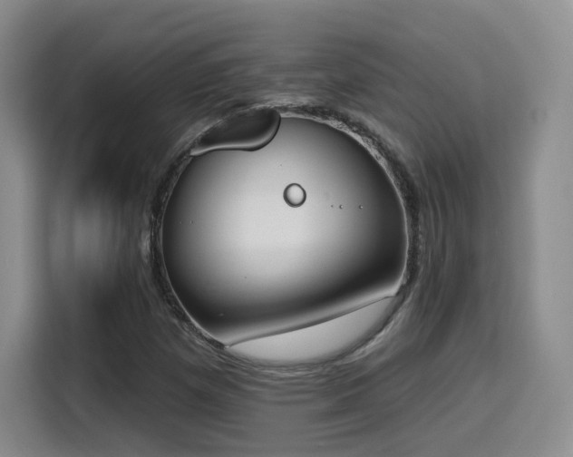 X0000116151257200911231324