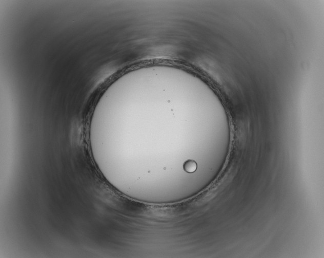 X0000116151258200911231324