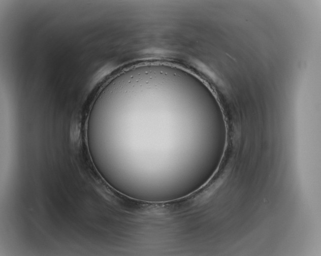 X0000116151259200911231324