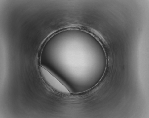 X0000116151260200911231324