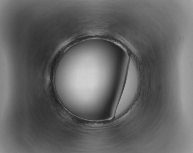 X0000116151261200911231324