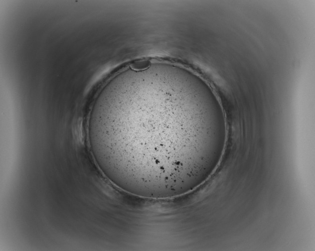 X0000116151262200911231324