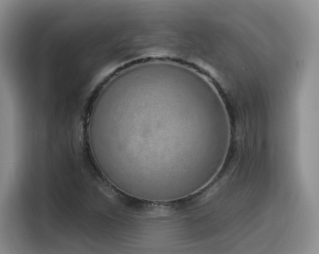 X0000116151263200911231324