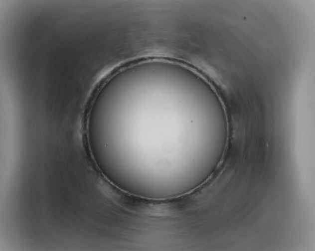 X0000116151264200911231324