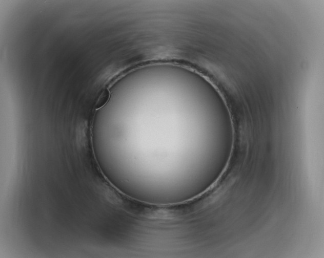 X0000116151265200911231324