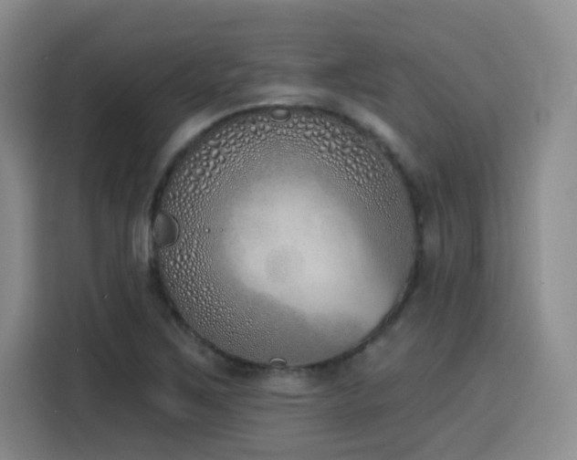 X0000116151267200911231324