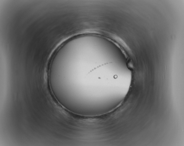 X0000116151268200911231324