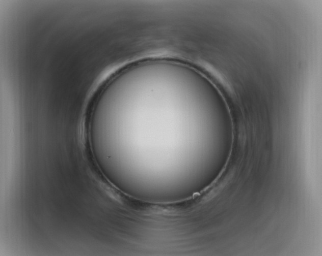 X0000116151270200911231324