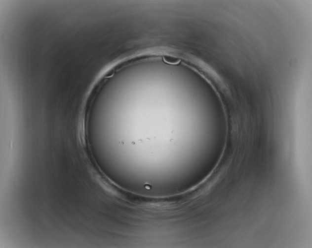 X0000116151272200911231324