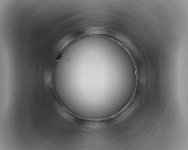 X0000116151273200911231324