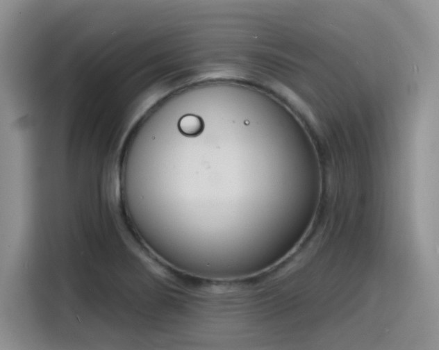 X0000116151274200911231324