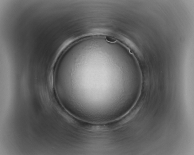 X0000116151275200911231324