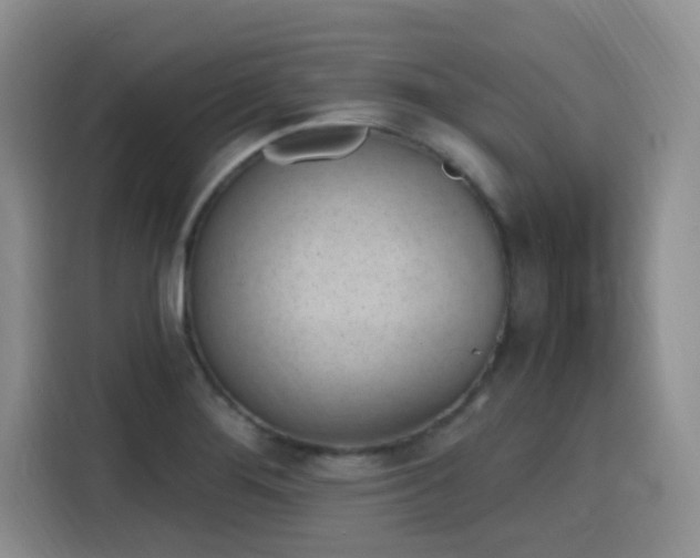 X0000116151276200911231324