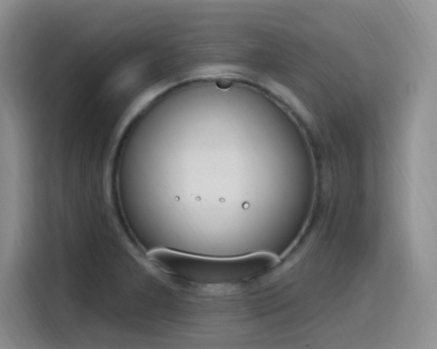 X0000116151277200911231324