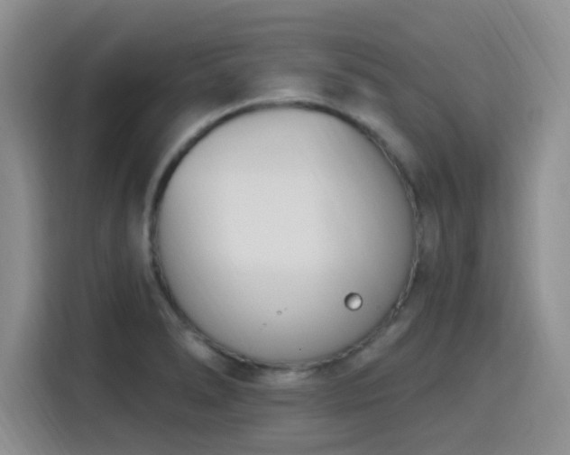 X0000116151278200911231324