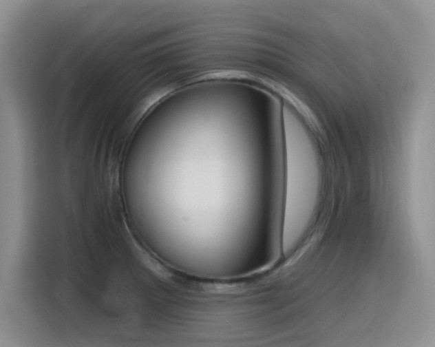 X0000116151281200911231324