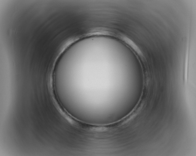 X0000116151282200911231324