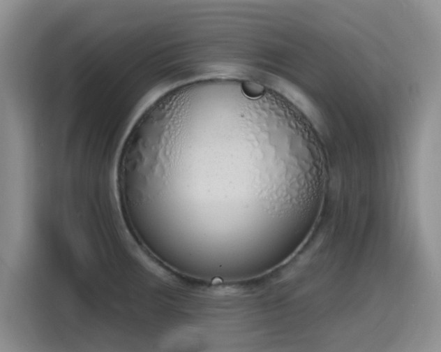 X0000116151283200911231324