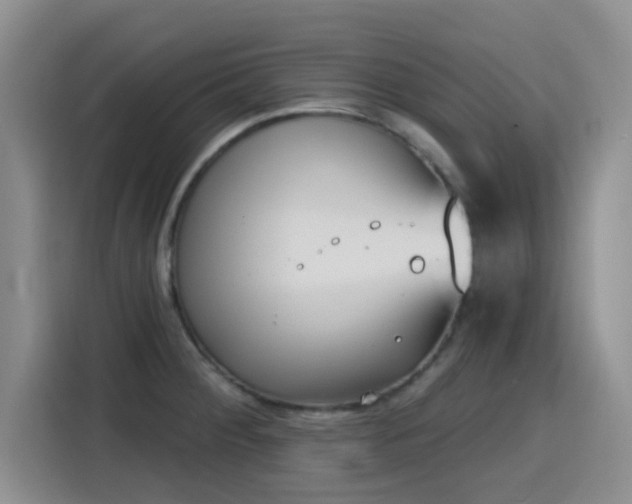 X0000116151284200911231324