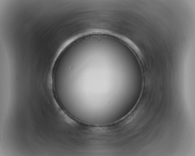 X0000116151287200911231324