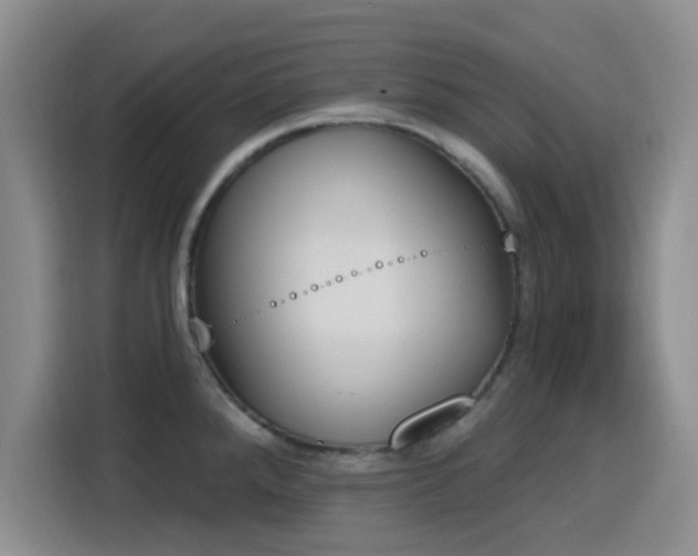 X0000116151288200911231324