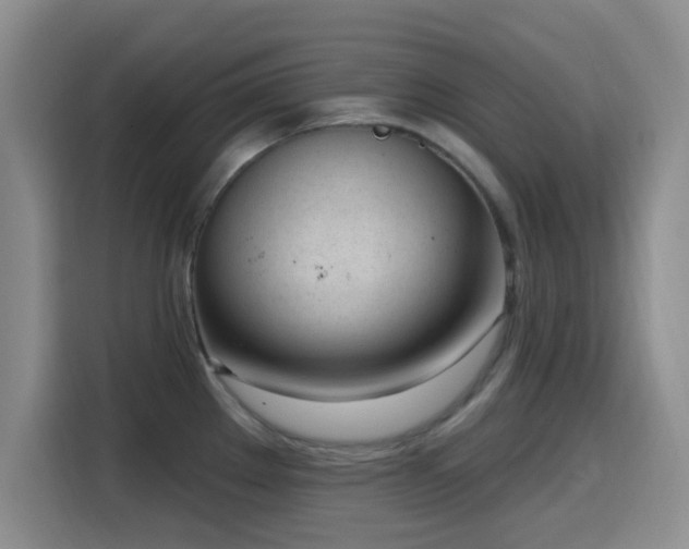 X0000116151289200911231324