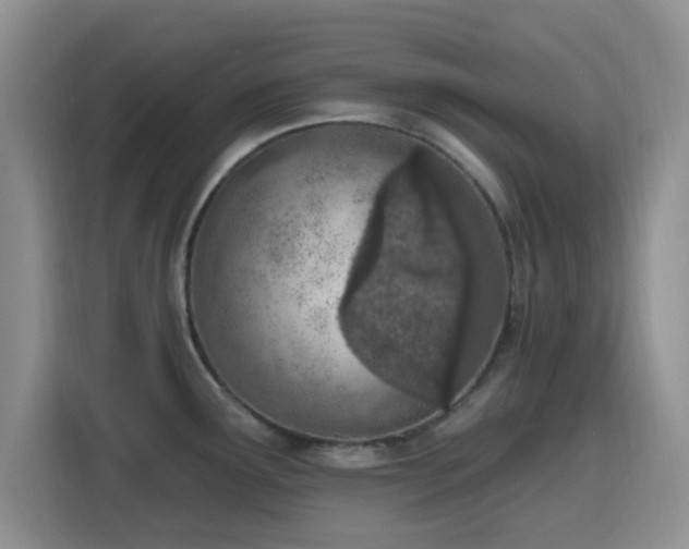 X0000116151291200911231324