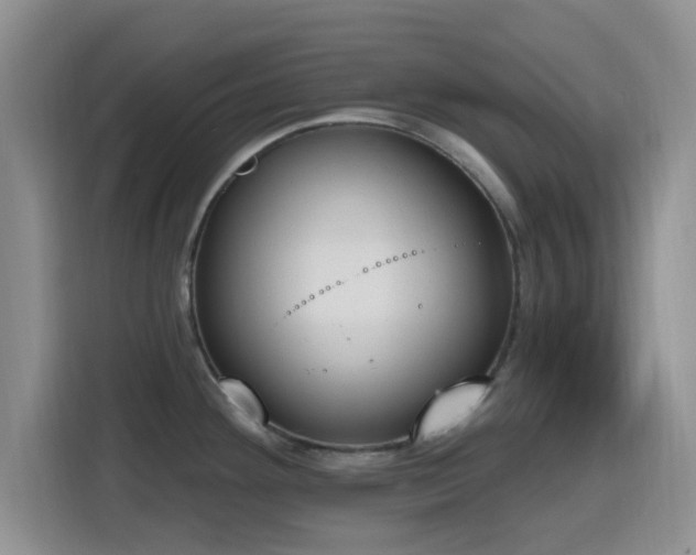 X0000116151292200911231324