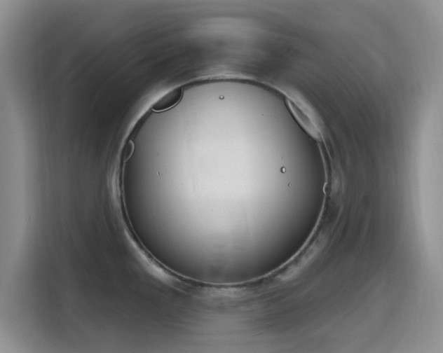 X0000116151293200911231324