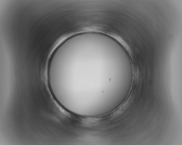 X0000116151294200911231324