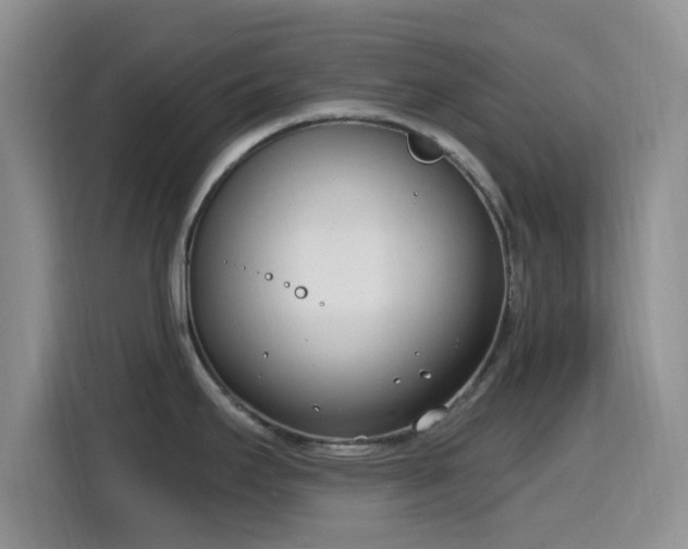 X0000116151295200911231324