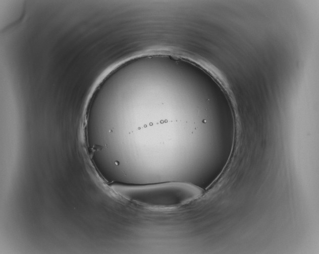 X0000116151296200911231324