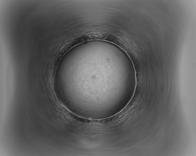 X0000116151297200911231323