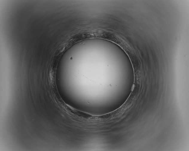 X0000116151298200911231323