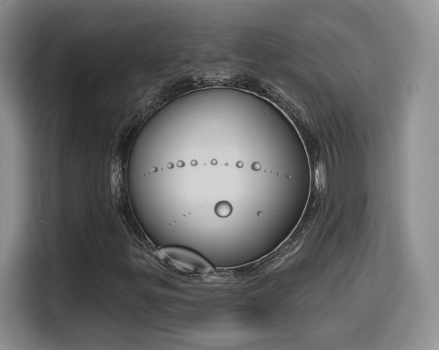 X0000116151299200911231323