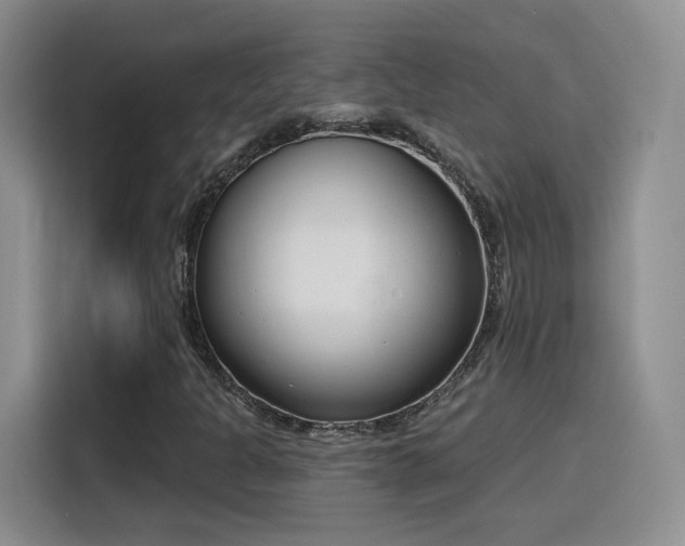 X0000116151301200911231323