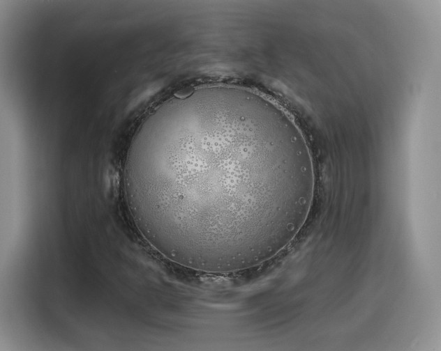 X0000116151302200911231323