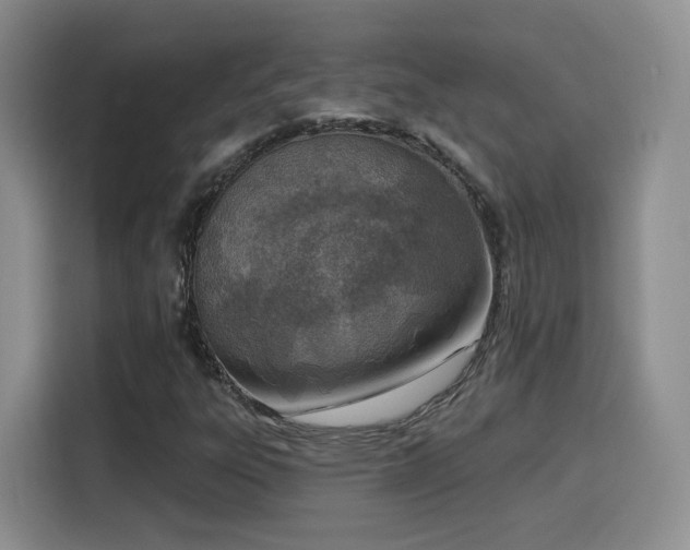 X0000116151303200911231323