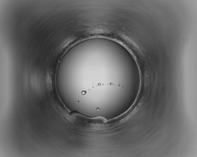 X0000116151305200911231323