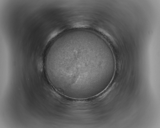 X0000116151306200911231323