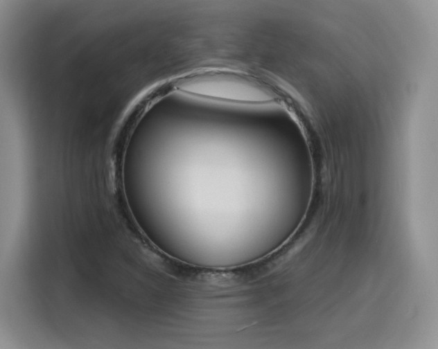 X0000116151310200911231323