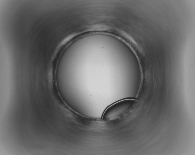 X0000116151315200911231323