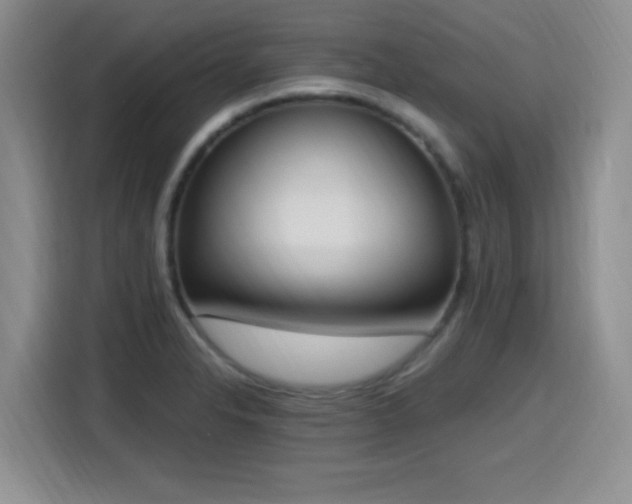 X0000116151326200911231323