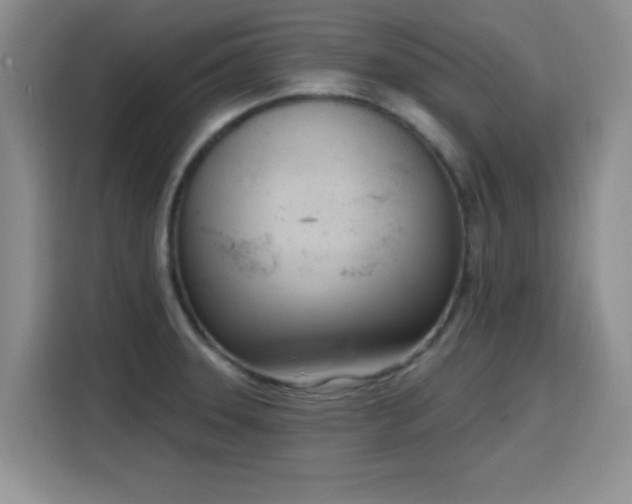 X0000116151331200911231323