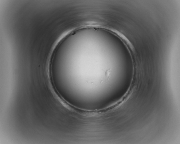 X0000116151333200911231323