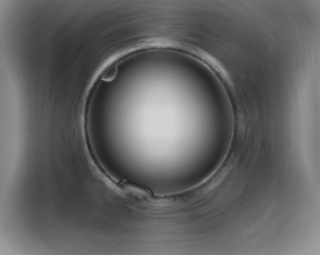 X0000116151334200911231323